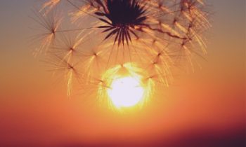 Book Cover: Hikmah Dibalik Kisah