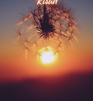 Book Cover: Hikmah Dibalik Kisah