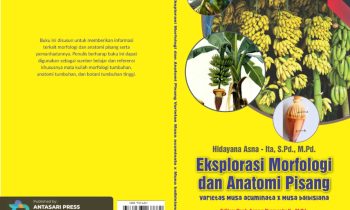 Book Cover: Eksplorasi Morfologi dan Anatomi Pisang Varietas Musa acuminata x Musa balbisiana